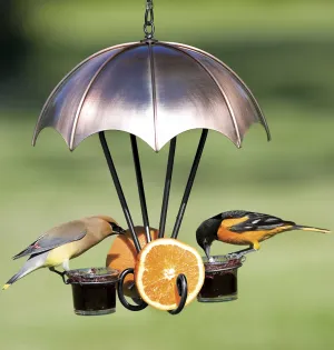 Copper Oriole Feeder