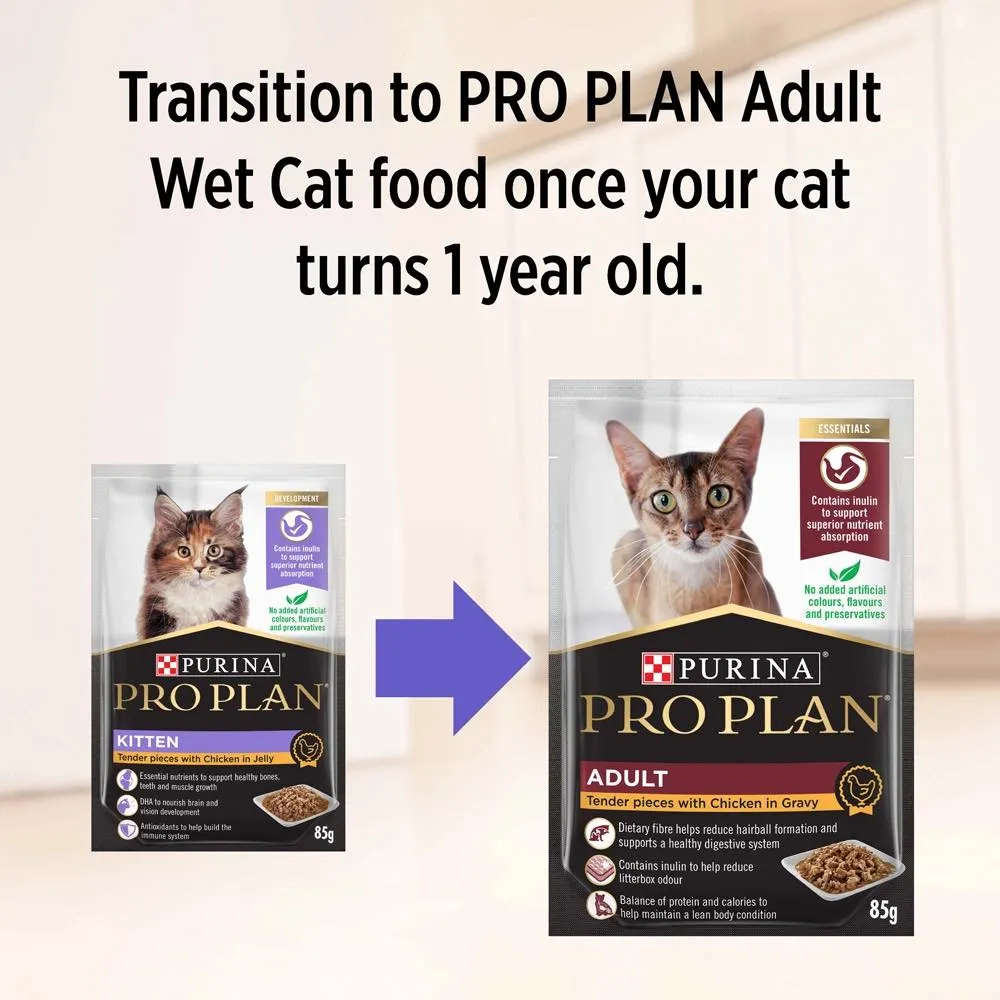 Pro Plan Tender Chicken In Jelly Kitten Pouch Cat Food 85g x 12